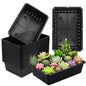 25 Pack Seed Starter Trays 10 x 7 inches Microgreens Growing Trays with Mesh Bottom for Germination, Hydroponic & Sprouting Plant Trays for Garden, Wheatgrass - size: 25 Pack 10 x 7 inch black