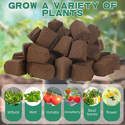 Amyhill Hydroponic Sponges Grow Starter Pods Organic Growth Sponge Starter Plugs for Plant Cloning Growing (100 Pieces)