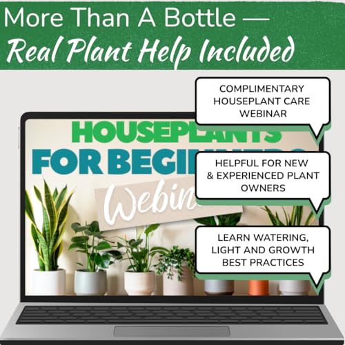 Stainless Steel Houseplant Watering Can, Brushed Silver, 1L Capacity - color: Silver