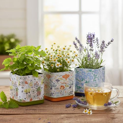 Buzzy Seeds Herbal Tea Garden Kit 3-Pack, Printed Metal Planters, Herbs