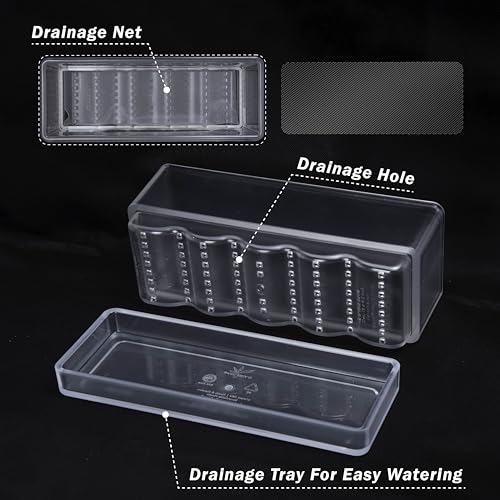 D'vine Dev 2-Pack Rectangular Planters, 12 x 4.5 in, Clear, 76-X-D-2 - color: Clear