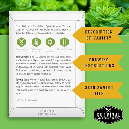 Indoor Herb Seeds Variety Pack - 10 Herbs for Planting
