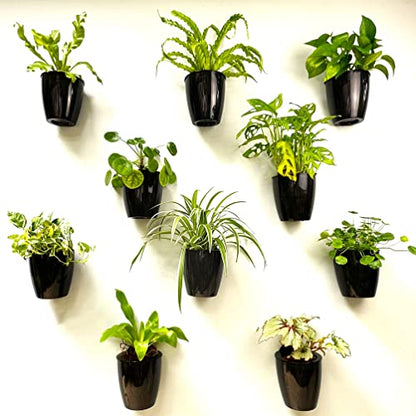 LaLaGreen Indoor Wall Planters (5in, 10 Pack) Self Watering Hanging Pots - size: 5" (12.5 cm)