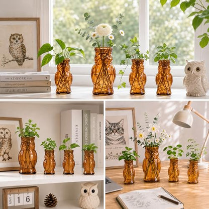 Nacome Owl Plant Propagation Station: Set of 4 Cute Brown Glass Vases - color: Brown