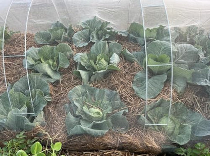 Garden Pest Barrier Netting, Plant Covers 6.5x10Ft Ultra Fine Mesh Net - size: 6.5ftx10ft
