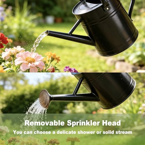 1 Gallon Watering Can for Outdoor&Indoor Plants，Black - color: Black