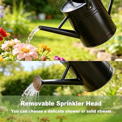 1 Gallon Watering Can for Outdoor&Indoor Plants，Black - color: Black
