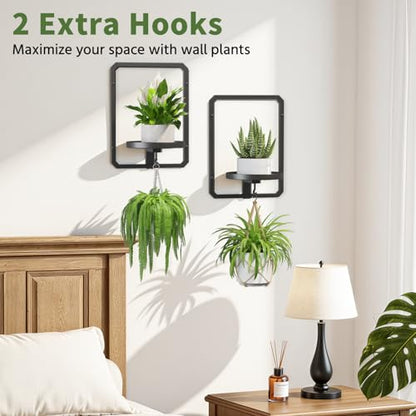 LASZOLA Plant Picture Frame Holder Shelf Wall Window Indoor, 2 Pcs Black - color: Black, size: 2