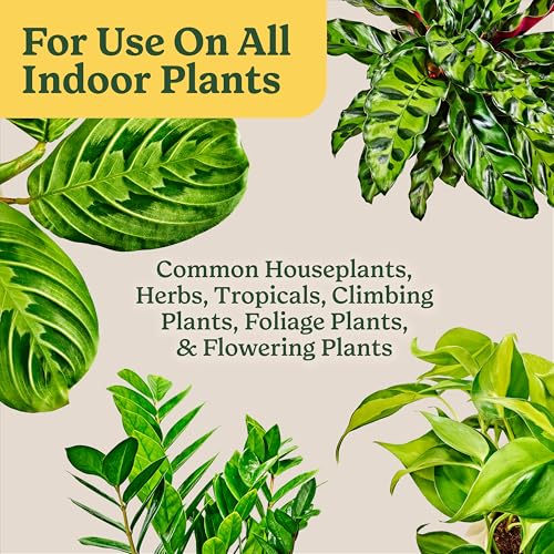 Miracle-Gro Shake 'N Feed All Purpose Plant Food, 4.5 lb. (6-Pack) - size: 16 qt (2-Pack)
