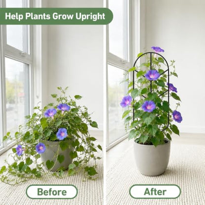 Plant Trellis for Potted Plants, Trellis for Climbing Plants - size: 32.6in/2P