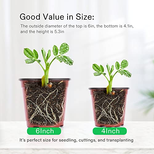 VIVOSUN 50 Pcs 6 in Plastic Plant Nursery Pots, Seed Starting Pots - size: 6 inch