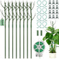 8 Pack Monstera Plant Support Stakes, Detachable Twig Plant Support