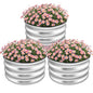 3-Pack Round Raised Garden Bed Outdoor 2x2x1ft Planter Box, Silver - color: Silver, size: 2x2x1ft (3 PCS)
