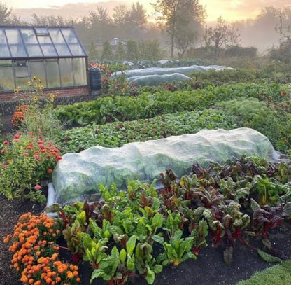 Garden Pest Barrier Netting, Insect Barrier Net 4x26Ft Ultra Fine Netting - size: 4ftx26ft