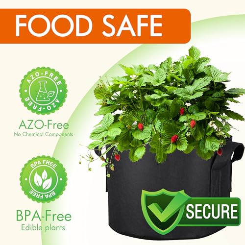 Gardzen 10-Pack 2 Gallon Grow Bags Fabric Pots with Heavy Duty Handles - size: 2 Gallons