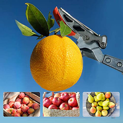 GARTOL Pruner for Garden, Cut Upto 1 Inch & Hold Telescopic Pole Pruner, Fruit Picker with Rotating Blade Head, Lightweight Aluminum Extendable Handle for Tree Branch Cutter, 6.23-10.5 FT, Silver - size: 6.23-10.5 FT