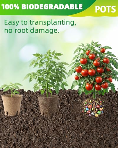 LWWTBS 3.15" Peat Pots 60Pcs Biodegradable Pots for Seedlings