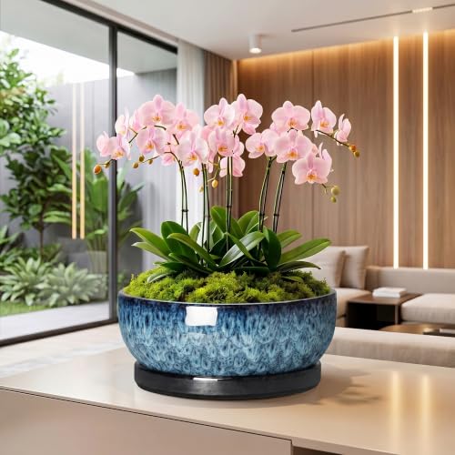 Bonsai Pots, 13 Inch Ceramic Succulent Pot with Saucer, Blue - color: Blue, size: 13 Inch