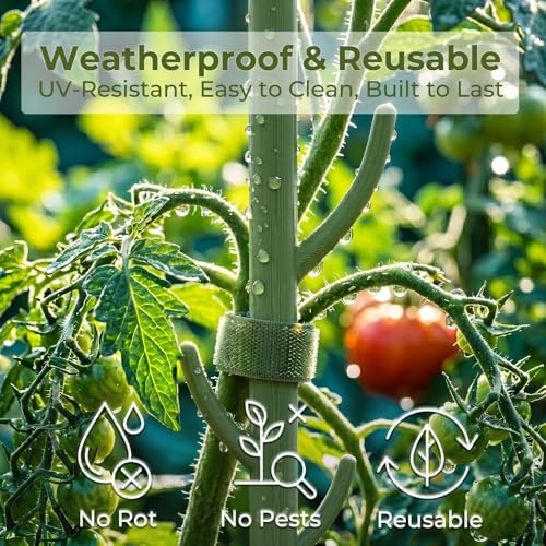 Heavy-Duty Monstera Plant Support Stakes - 10-Piece Stackable Sticks