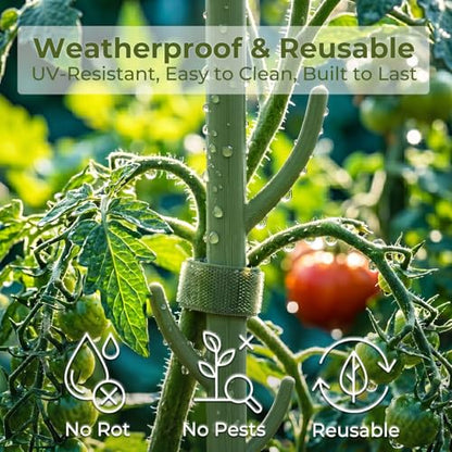 Heavy-Duty Monstera Plant Support Stakes - 10-Piece Stackable Sticks
