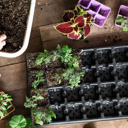 Bootstrap Farmer 32 Cell Seed Trays 2.5 Inch Pots 10 Pack Black - size: 10 Trays 320 Pots