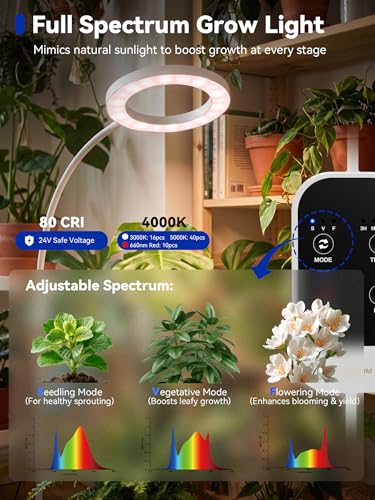GLOWRIUM Grow Lights for Indoor Plants,Full Spectrum Plant Light with Stand - color: White-Single Head
