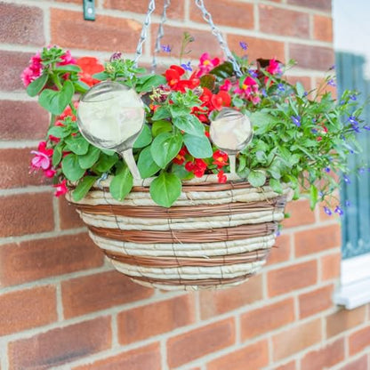 10 Pcs Plant Watering Cans,Plant Watering Globes,Plant Self-Watering Bulbs,Plastic Plant Automatic Water Devices for Indoor Outdoor Potter Plants - size: Clear-6Large4Small