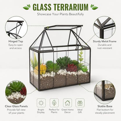 Ferrisland Glass Geometric Plant Terrarium, Clear Glass Succulent - size: 9.1" L x 5.4" W x 7.3" H