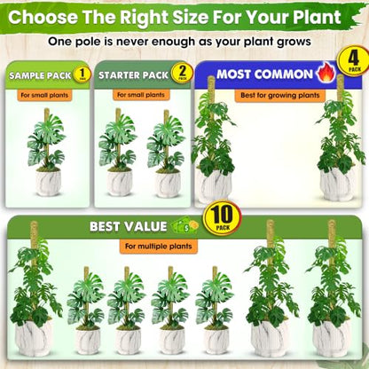 DUSPRO 1 Pack 22" Pre-Made Natural Stackable Moss Pole for Plants Monstera - color: Natural 1pc