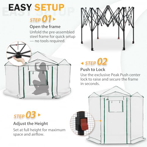 EAGLE PEAK 6.6x6.6 Easy Setup Pop Up Greenhouse, Hexagon, Clear/White - color: Clear/White, size: 6.6x6.6