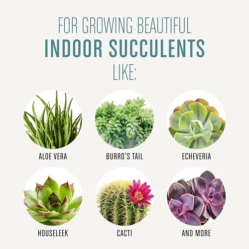 Miracle-Gro Succulent Potting Mix, 4 qt. - size: 1 Pack, style: Succulent