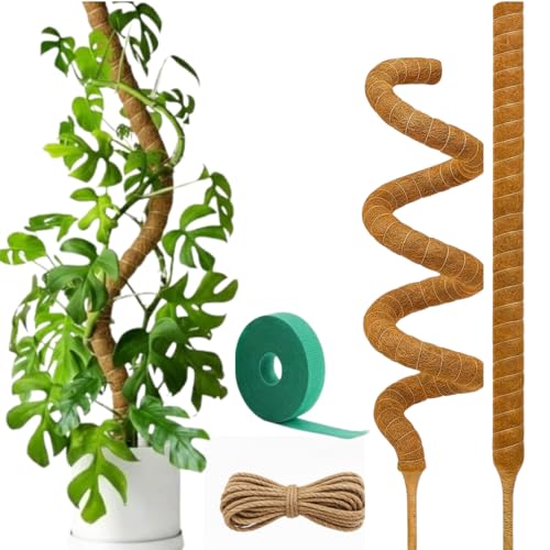Bendable Moss Pole for Plants | 2 Pack 60 Inch Tall Moss Pole Monstera Plant Support | Large Poles for Climbing Plants | Handmade Plant Sticks Support Tall Potted Plants - size: 2-Pack 60"