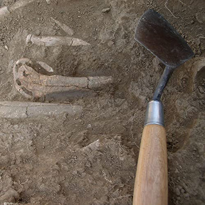 MARSHALLTOWN Archaeology Pointing Trowel, 4 x 2 Inch, Assembled in the USA