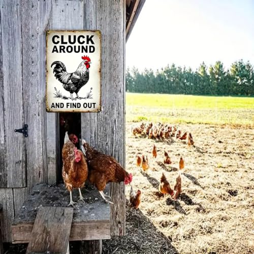 Funny Chicken Coop Sign Chicken Cluck Around and Find Out 8x12in - color: TPH375-US