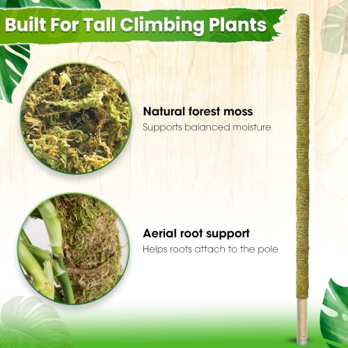 DUSPRO 80" Large Stackable Moss Pole for Plants Monstera, (1pc., 80'') - size: 80'' MOSS POLE for SUPER-BIG PLANTS