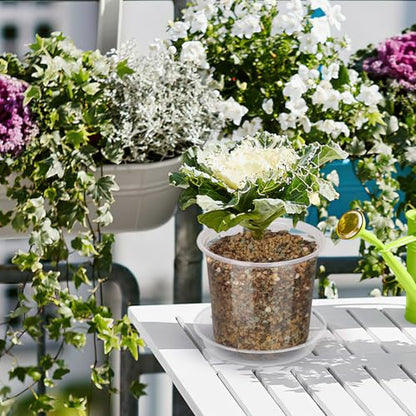 20 Pack 4 Inch Clear Nursery Pots with Drainage and Saucer, Clear Plastic Planter Pots for Plants, Flexible Seed Starting Pots for Succulents, Small Herbs, Annual Flowers (4 Inch) - size: 4 Inch