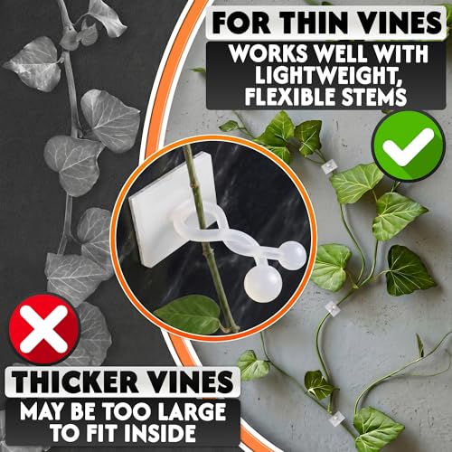 Small 100 Pcs Plant Clips for Climbing Plants and Vines (White) - color: Small White 100 Pcs