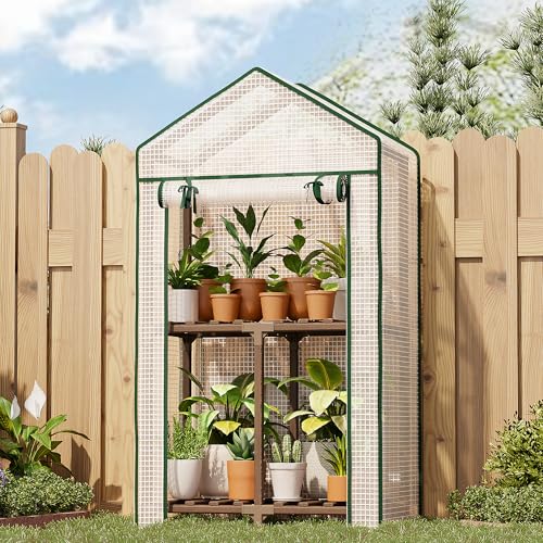 Bamworld Mini Greenhouse Indoor Small Portable 2-Tier Green House for Seed Starting Plant Grow Warmer and Home Gardening Display - size: Small