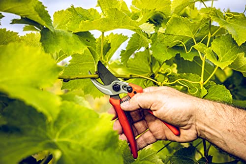 Original LÖWE LÖWE 14.107 Garden Shears Metal - style: Inward curved handle