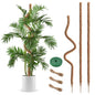 3 Pack Moss Pole 63 Inch Monstera Plant Sticks Support Tall Long Stakes - color: 3 Pack