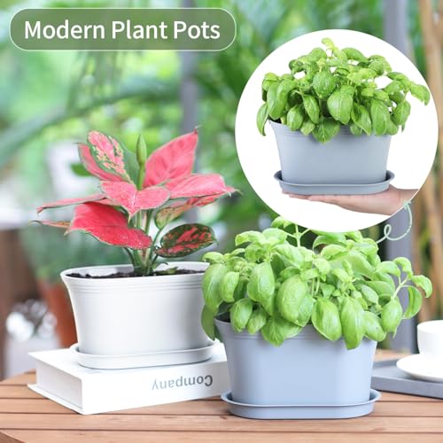 Oliz 6pk Windowsill Planters, Grey Plastic w/Drain Tray - Indoor/Outdoor - color: Gray