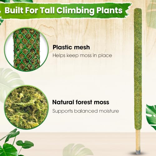 DUSPRO 59" Large Green Mesh Moss Pole Monstera Plant Support, (1pc., 59'') - size: 59" GREEN MESH MOSS POLE