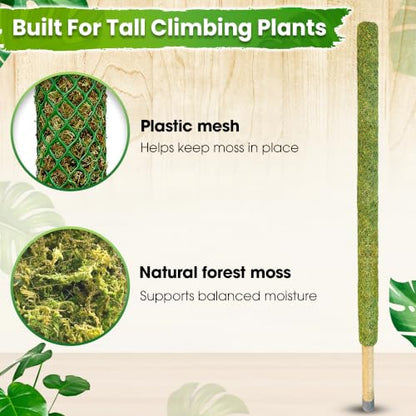 DUSPRO 59" Large Green Mesh Moss Pole Monstera Plant Support, (1pc., 59'') - size: 59" GREEN MESH MOSS POLE