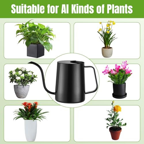 Small Watering Can for Indoor Plants, 34 oz Stainless Steel, Black - size: 34oz
