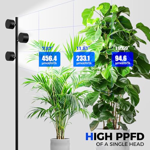 Barrina T1X3 Standing Grow Lights for Indoor Plant, 6FT 30W 5000K High PPFD - size: 30W-6FT-3 Heads