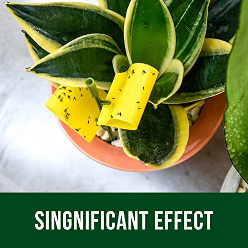 Garsum 21 Traps Sticky Houseplant Traps Gnat Yellow Insect Trap Indoor Fruit Fly Stakes Trap - color: 21 PCS