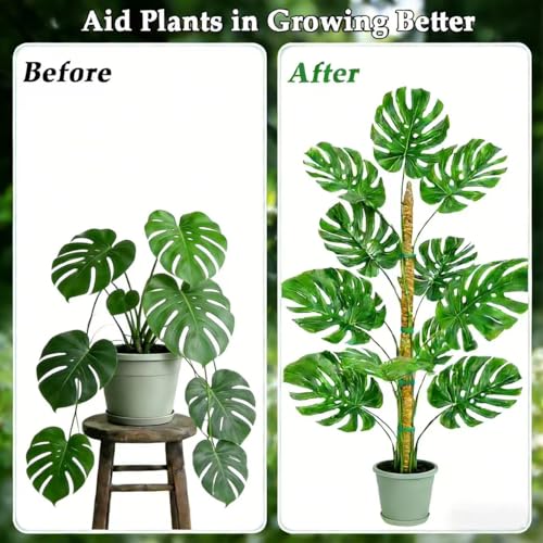 2 Pack 48" Monstera Plants Bendable Moss Pole for Climbing