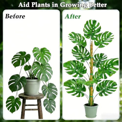 2 Pack 48" Monstera Plants Bendable Moss Pole for Climbing