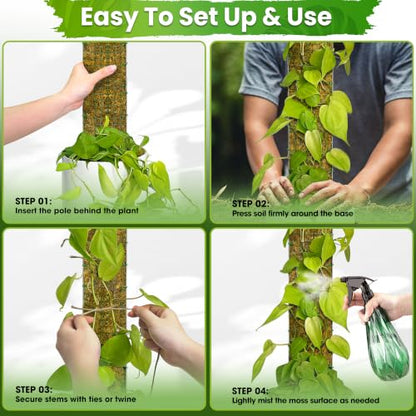 DUSPRO 59" Large D-Shape Moss Pole for Big Climbing Plants, (1pc, 59'') - size: 59" D SHAPED MOSS POLE