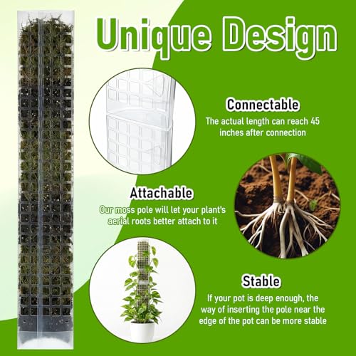 6 Pcs 24 Inch Plastic Moss Pole for Plants Monstera, D Shaped Moss Pole, Plant Poles for Climbing Plants, Plant Support for Indoor Plant Work with Sphagnum